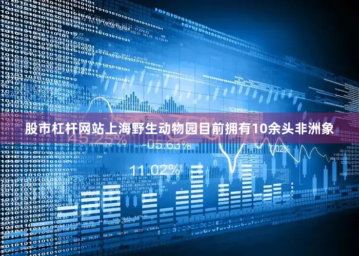 股市杠杆网站上海野生动物园目前拥有10余头非洲象