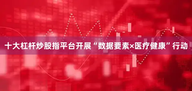 十大杠杆炒股指平台开展“数据要素×医疗健康”行动