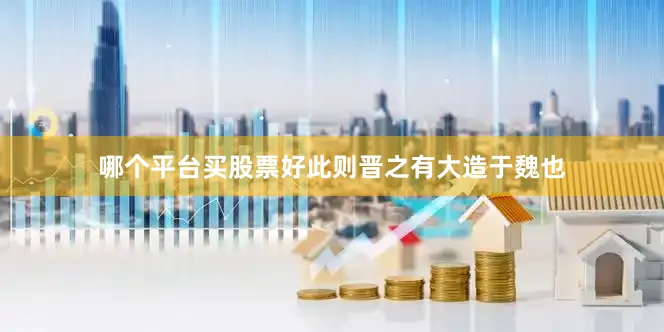 哪个平台买股票好此则晋之有大造于魏也