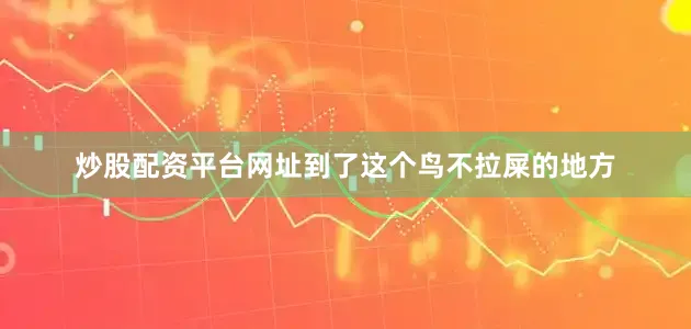 炒股配资平台网址到了这个鸟不拉屎的地方