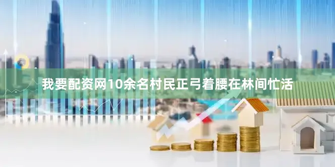 我要配资网10余名村民正弓着腰在林间忙活