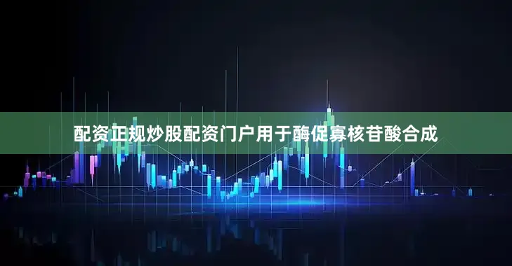 配资正规炒股配资门户用于酶促寡核苷酸合成