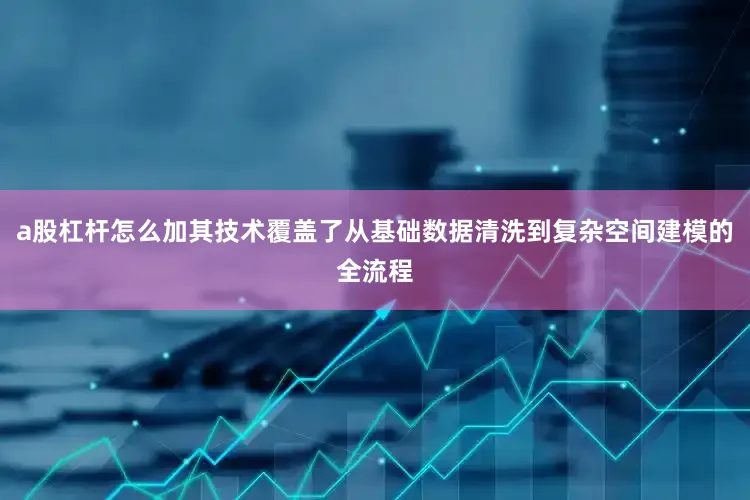 a股杠杆怎么加其技术覆盖了从基础数据清洗到复杂空间建模的全流程